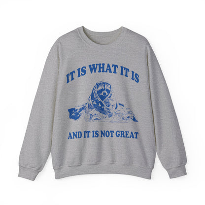 It Is What It Is printed sweatshirt