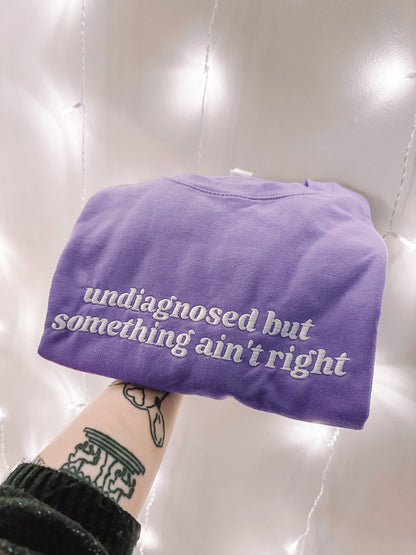 Undiagnosed But Something Ain’t Right crewneck sweatshirt