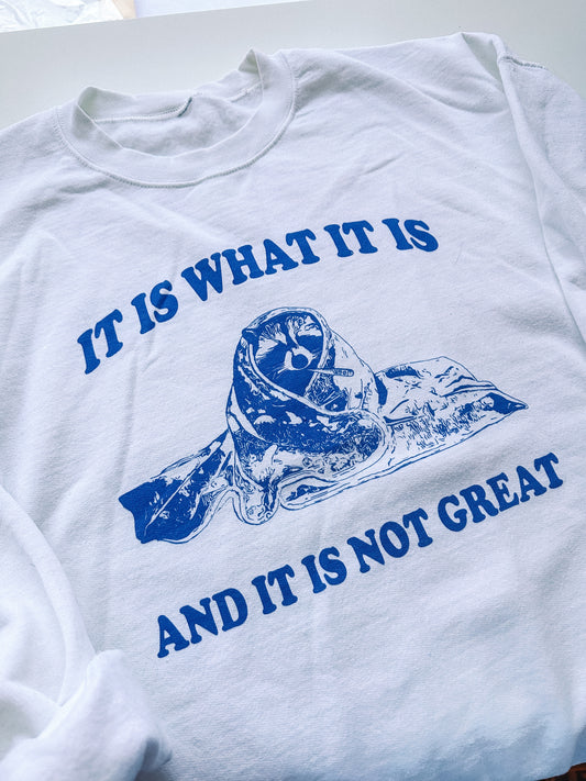 It Is What It Is printed sweatshirt